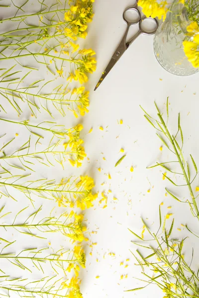 Floristería, mesa de trabajo con flores amarillas silvestres — Foto de Stock