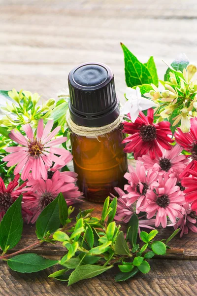 Essential oil, empty tags and pink flowers — Stock Photo, Image