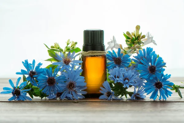 Essential oil, empty tags and blue flowers — Stock Photo, Image