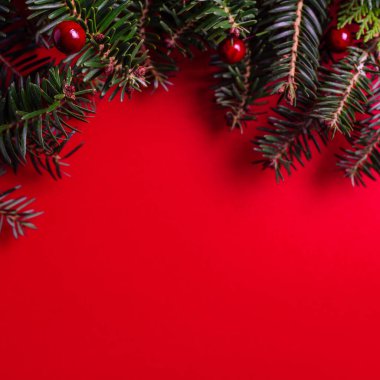 Kırmızı arka planda Noel ağacı dallarından yapılmış yaratıcı bir düzen. Düz yatıyordu. Doğal Noel kavramı ve Tex için kopyalama alanı