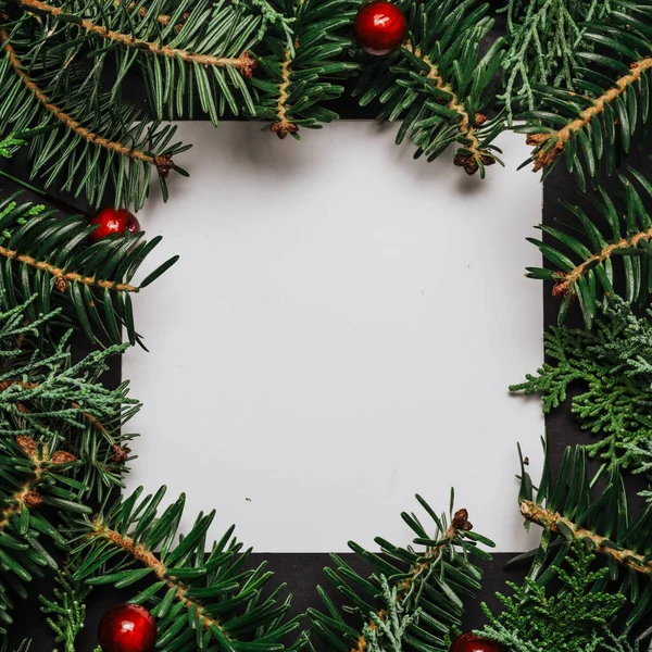 Kağıt Kartla Noel Ağacı Dallarından Yapılmış Yaratıcı Bir Düzen Düz — Stok fotoğraf