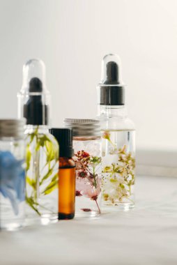 Taze bitkiler ve çiçeklerle şeffaf yağ şişeleri, masaj için doğal tedavi, aromaterapi veya spa. Doğal ilaçlar.