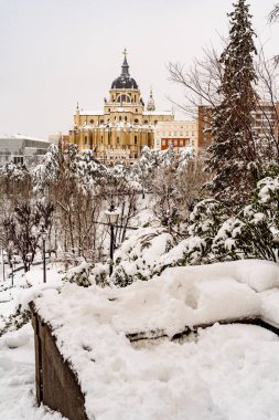 Filomena fırtınası sırasında Madrid 'in orta sokaklarında, kar altında düşen ağaçlar.
