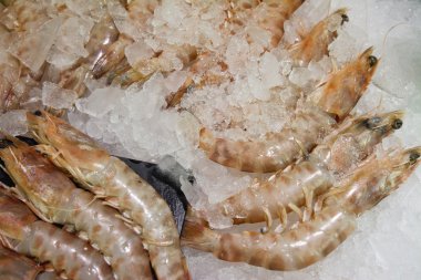  buz tepsi üzerinde taze karides