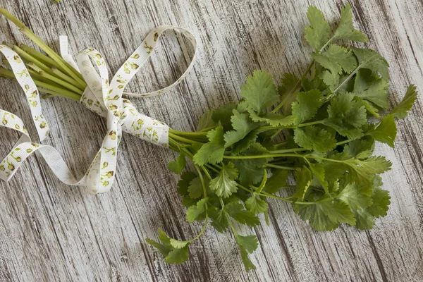 Bouquet of fresh coriander or cilantro, on white wooden grunge b — Stock Photo, Image