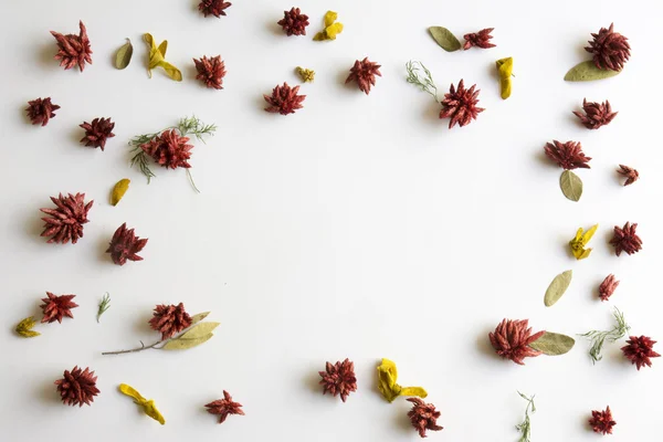 Cornice fiori sfondo, immagine isolata — Foto Stock