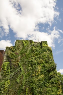 Dikey duvar Bahçe Madrid, İspanya