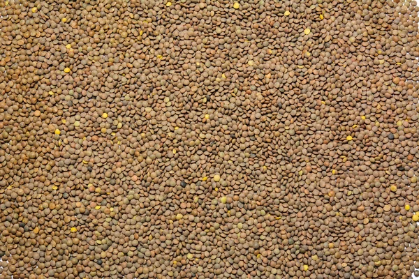 Lentils food background — Stock Photo, Image