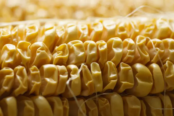 Régi kukorica — Stock Fotó