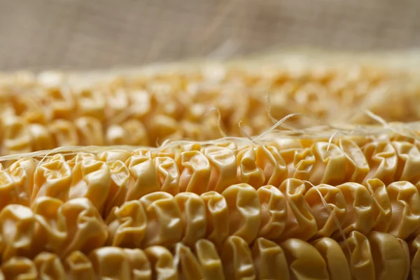 Old corn — Stock Photo, Image