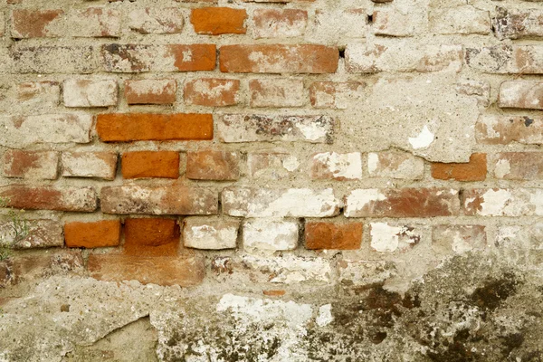 Part of the old wall — Stock Photo, Image