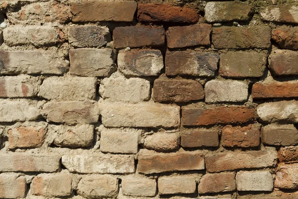 Brick wall — Stock Photo, Image