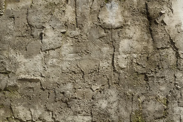 Une partie de l'ancien mur — Photo