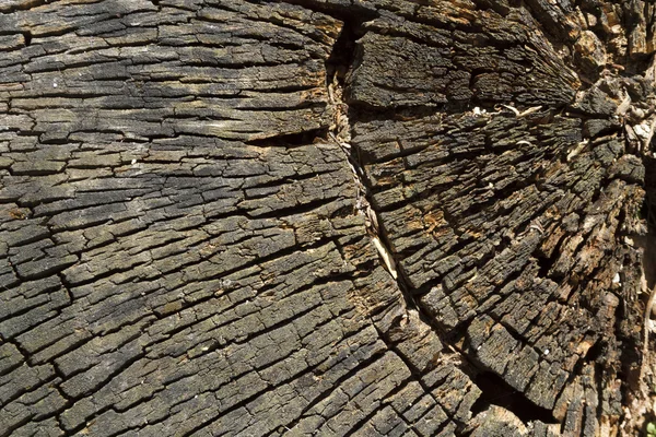 Wooden background Stock Photo