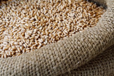 Jüt çuval içinde gıda