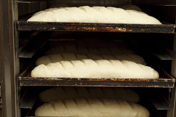 Making of bakery products in bakery shop — Stock Photo, Image