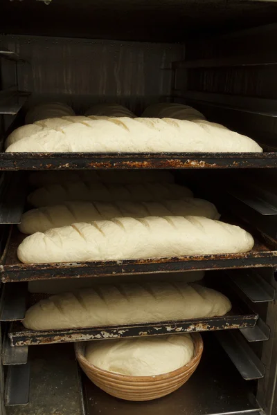 Making of bakery products in bakery shop — Stock Photo, Image