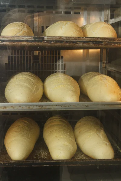 Making of bakery products in bakery shop — Stock Photo, Image