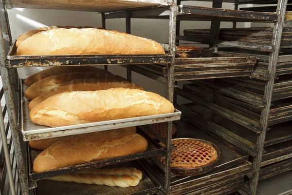 Bakery products in bakery shop — Stock Photo, Image