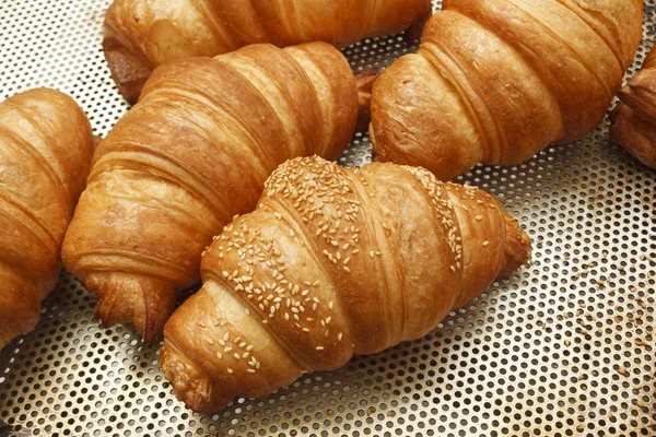 Pastane Pastane Dükkanı