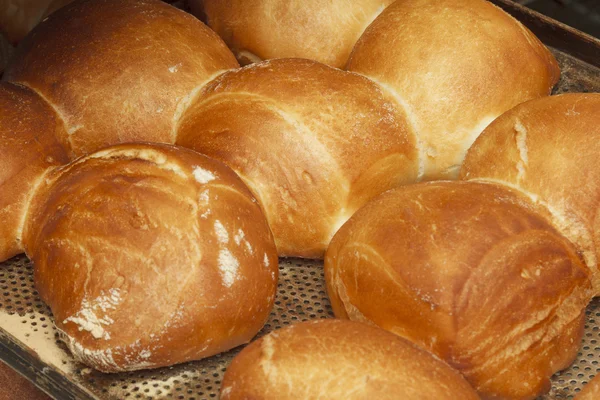 Bakery products in bakery shop — Stock Photo, Image