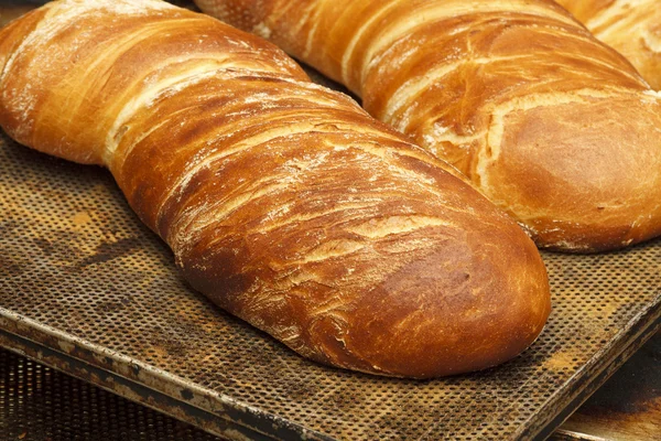 Productos de panadería en panadería —  Fotos de Stock