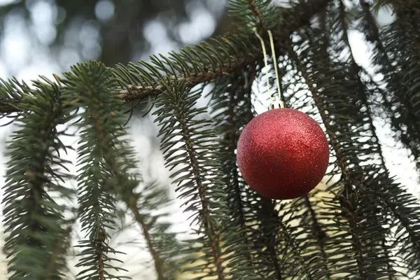 Christmas background on white background — Stock Photo, Image