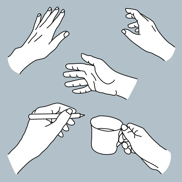 Desenho de mãos humanas em várias posições e gestos — Vetor de Stock