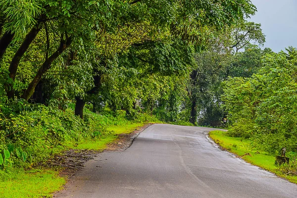 Imagem Estrada Asfalto Limpa Vazia Com Paisagem Floresta Cênica — Fotografia de Stock