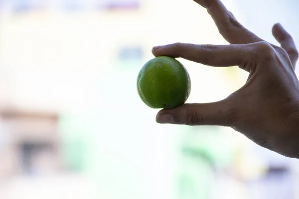 Bulanık arka planda taze yeşil limon tutan bir kadın..