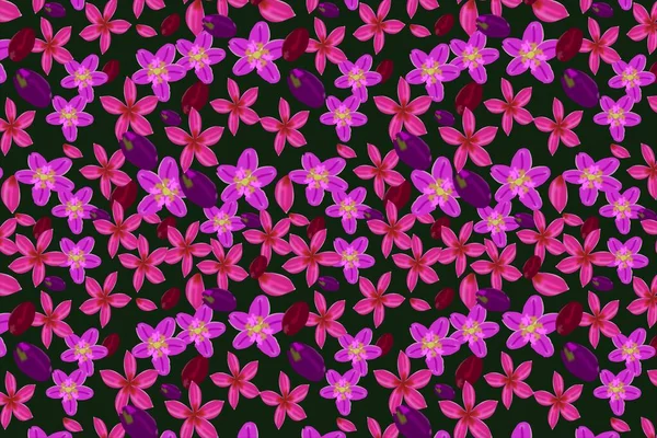 Sömlös Blommönster Med Rosa Färg Och Lila Färg Jasmin Blommor — Stock vektor