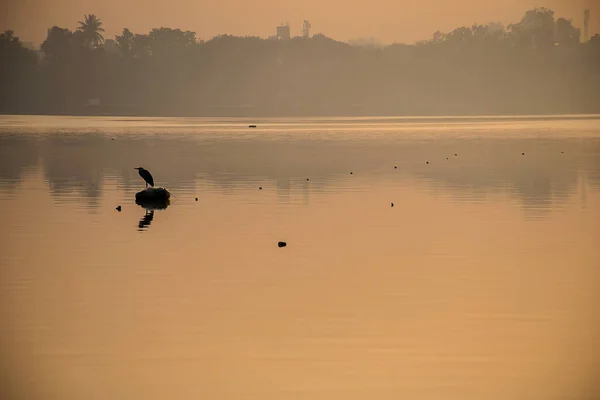 在科拉普尔马哈拉施特拉邦的湖心 一只乌鸦栖息在某个物体上 照片上有美丽的蛤蟆和平静的落日美景 — 图库照片