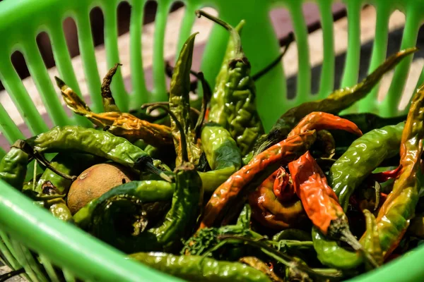Close up of red and green chili kept in green color plastic container or plastic basket under bright sunlight at Kolhapur, Maharashtra, India.
