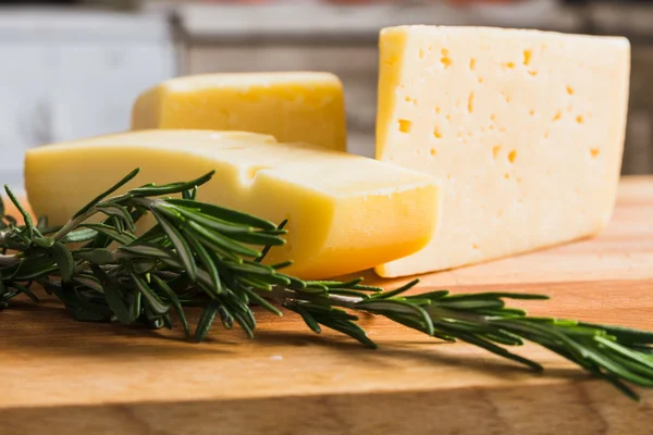 Cheese and razmarin — Stock Photo, Image