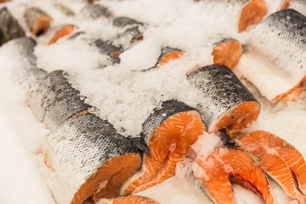 Červené ryby lososový pstruh — Stock fotografie