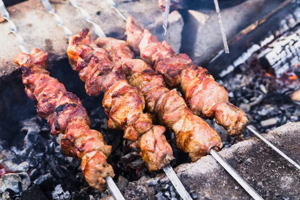 Shashlik — Stock Photo, Image