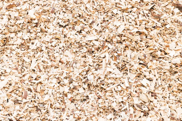 Wood sawdust — Stock Photo, Image