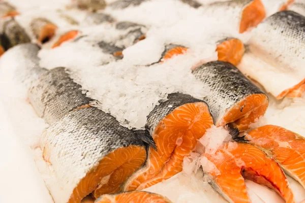 Truta de salmão de peixe vermelho — Fotografia de Stock