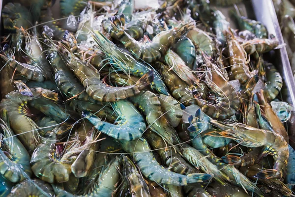 海鲜食品市场 — 图库照片