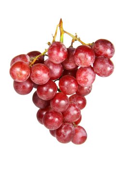 Kırmızı üzüm olgun taze bir demet