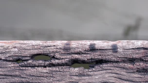 Gamla träpiren golvet med hål och vatten — Stockvideo