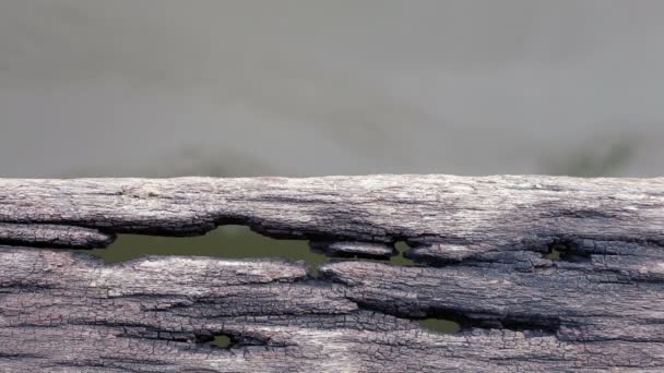 Old wooden pier floor with holes and water — Stock Video