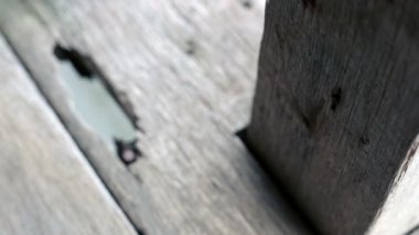 Eski klasik ev zemin ve ahşap kiriş portre