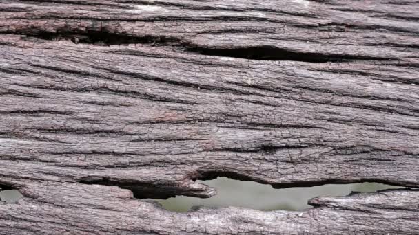 Antiguo suelo de madera con agujeros y fondo de agua — Vídeo de stock