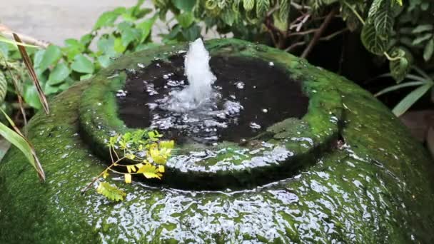 Giant water jar fountain green algae surface — Stock Video