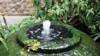 Dev su kavanoz çeşme yeşil algler yüzeyi