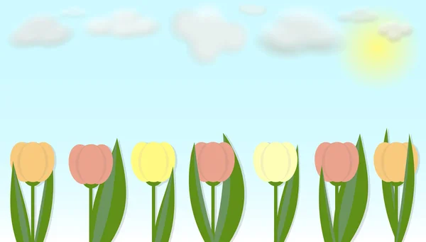 Vector flowers tulips and blue sky with clouds
