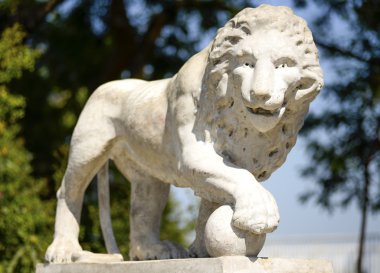 Ukrayna/güzel eski Mermer heykel Odessa şehir, Ukrayna/Odessa, Ukrayna'nın kültürel merkezinde aslan