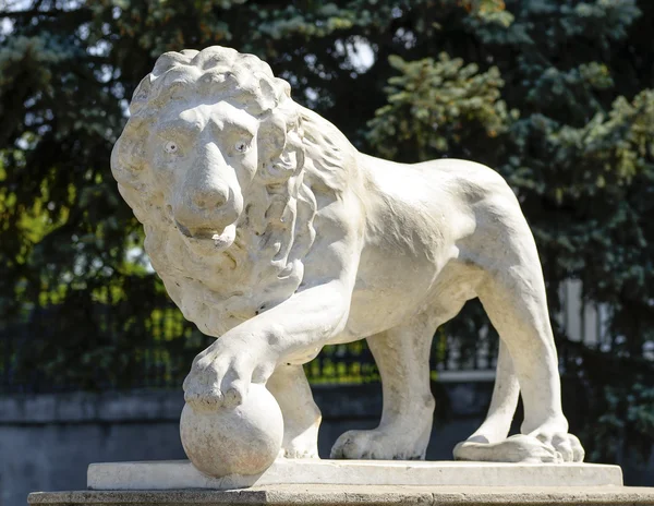 Beautiful old marble statue of a lion in the cultural heart of the Odessa city, Ukraine / Odessa, Ukraine — стоковое фото