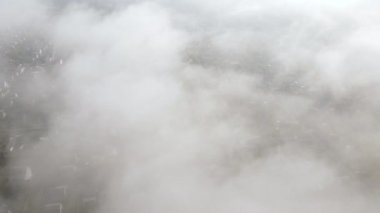 Küçük köy ve kozalaklı ormanın havadan görünüşü. Çam ormanı manzarası ve küçük yazlık evler. Drone helikopter görüntüsü.